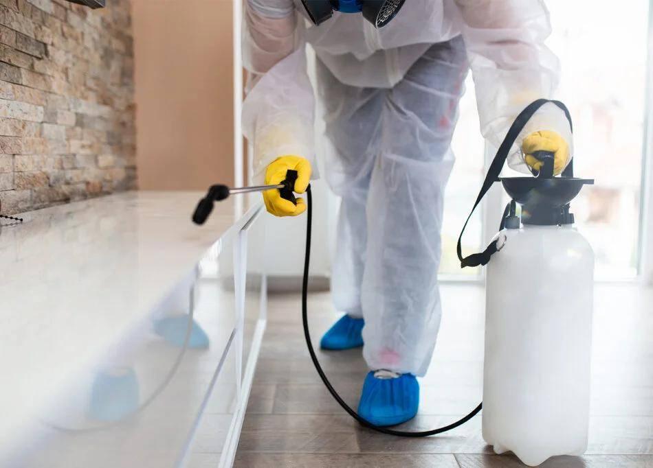 Pest Management Services